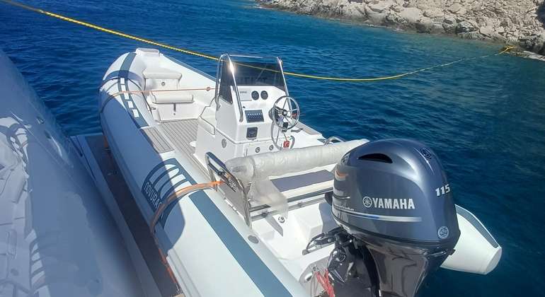 NOVURANIA DL 550 -2026-