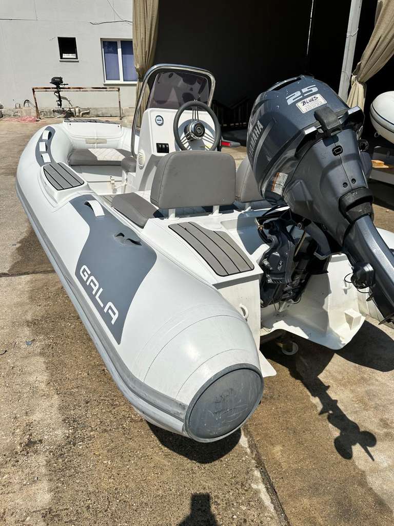 yamaha 25 hp motor